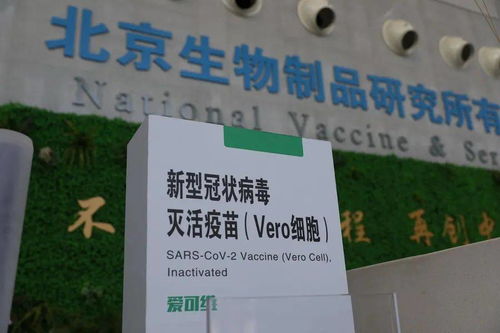 本土新增108例，防疫健康包與應對指南